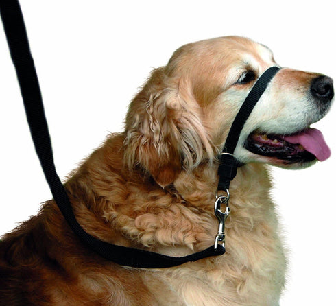 BARKLESS Dog Head Collar, Adjustable and Padded, No-Pull Training Tool with 1 Dog Leash and Training Guide