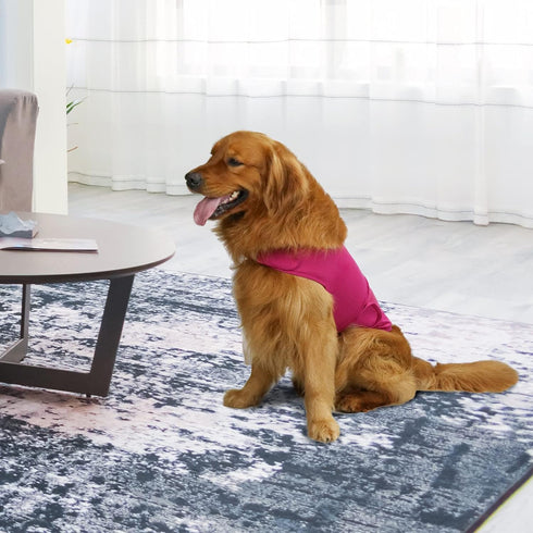 Comfort Dog Anxiety Relief Coat, Calming Vest Wrap for Thunderstorm, Travel, 4th of July Fireworks, Vet Visits,