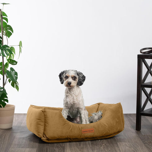 Modern Threads Luxury Dog Bed, Comfortable Tufted Velvet Cushion for Small to Large Dogs, Machine Washable, Caramel