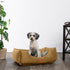 Modern Threads Luxury Dog Bed, Comfortable Tufted Velvet Cushion for Small to Large Dogs, Machine Washable, Caramel