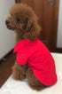 lovelonglong Basic Dog Polo Shirts – Premium Cotton T-Shirts for Large Medium Small Dogs, Red XS, Two-Button Collar