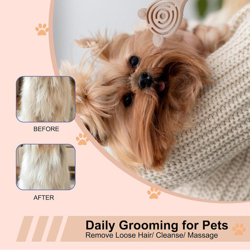 Cat-Ear Design Puppy Brush, Gentle Soft-Bristle Small Dogs Plastic Detangling Grooming Tool, Fit for Yorkie Shih Tzu