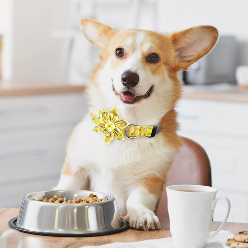 BiPawTi Floral Dog Collar with Daisy Bloom Decoration, Yellow Flower Collar for Small Dogs, Soft Cute Summer Collar (XS)