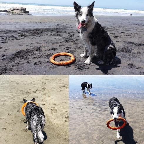 LaRoo Dog Toys for Large Dogs, Floatable Dog Flying Discs Tug Toy, Interactive Tug of War Ring Toy, Funny Fetch