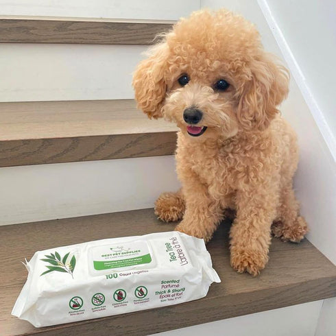Best Pet Supplies 8" x 9" Pet Grooming Wipes for Dogs, 400 Pack, Plant-Based Deodorizer for Coats & Sensitive Skin
