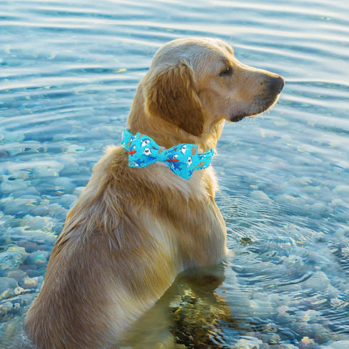 Shark Print Bowtie Dog Collar for Boys, Soft Durable Adjustable Collars for X-Small Puppies