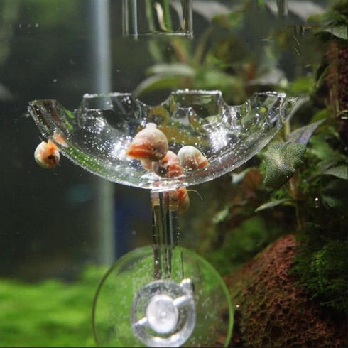 Bilindasly Acrylic Shrimp Feeding Dish, Floral Shrimp Bowl with Suction Cup for Aquarium Fish Tank