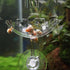 Bilindasly Acrylic Shrimp Feeding Dish, Floral Shrimp Bowl with Suction Cup for Aquarium Fish Tank