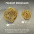 Natural Hermit Crab Sponges, 5 Pack Unbleached Sea Sponge for Water Drinking Safety and Humidity Balance