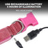 Illumiseen LED Light Up Dog Leash, Ultra High Visibility, USB Rechargeable, Padded Handle, 3 Lighting Modes