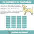 CuteBone Soft & Stretchy Dog Pajamas - Cozy Breathable Jumpsuit for Small Dogs - All-Season Easy-On Pullover Design P06S