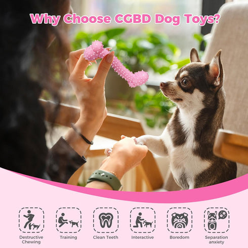 Puppy Toys, 9 Pack Chew Toys for Teething, Cute Pink Soft Durable Interactive Toys for Small Dogs