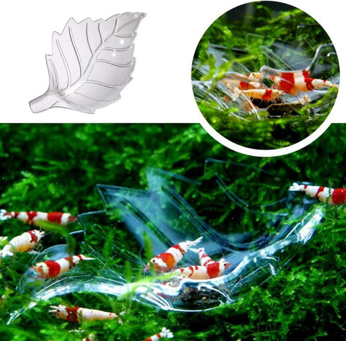 NIHUIFA Acrylic Shape Feeding Bowl for Aquariums Shrimp Crabs Fish Tanks Clear Small Feeder Tray Dish Aquascapes