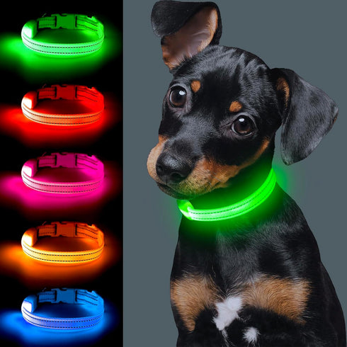 Light Up Dog Collar for Small Dogs - Vizpet XS Adjustable Nylon USB Rechargeable Safety Collar for Cats Dogs (Green)
