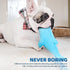 Dog Floating Toy, Chew Toy for Aggressive Chewers, Pool Toy with Rope for Interactive Fetch & Play