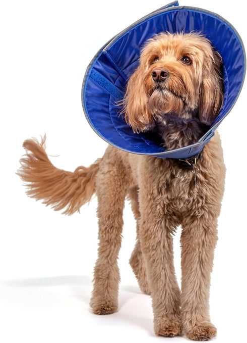 Calm Paws Dog Caring Collar with Calming (Large)