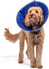 Calm Paws Dog Caring Collar with Calming (Large)