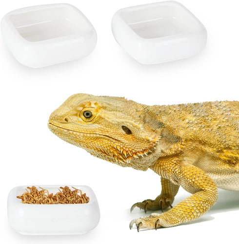 Ceramic Square Reptile Food Bowls - 2-Pack Pet Food Dish for Lizards and Small Snakes