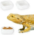Ceramic Square Reptile Food Bowls - 2-Pack Pet Food Dish for Lizards and Small Snakes