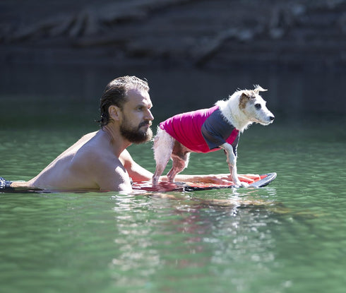 Solis UV Sun Protection Coverup Dog Shirt, XX-Small, Raspberry/Charcoal