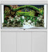 AWERT 48x24 inches Aquarium Background, Branches Terrarium Background for Fish Tank, Aquatic Plant River Bed & Lake