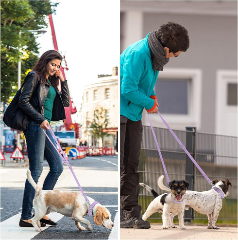 Waterproof Dog Leash for Medium Large Dogs, Standard with 2 Hooks, Adjustable Lengths for Safety, Durable Odor Proof