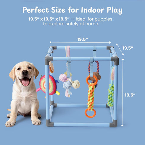 8 Nocciola Puppy Play Gym with Hanging Toys, Indoor Jungle Gym Activities Center Playground for Puppies, Squeaky Plush