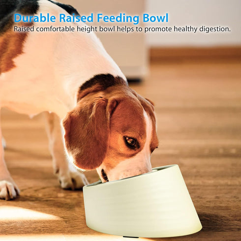 Tilted Angle Dog Bowl, 15° Slanted Stainless Steel Dog Cat Food Bowl with Elevated Detachable Melamine Stand, Medium