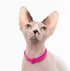 Breakaway Cat Collar, Soft Lightweight Safety Buckle Collar with Name Tag Ring, Pink