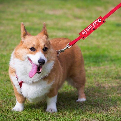 Do Not Pet No Hand Sniffs Red Funny Dog Leash Sleeve, Service Dog Leash Wrap, Pet Birthday Gift