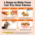12 5 Immune, 450 Cat Vitamin Treats with L-Lysine & Taurine Essential Vitamins & Minerals, Cat Multivitamin Supplement