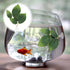 3 Pcs Betta Fish Leaf Pad Aquarium Décor, Simulating Natural Habitat for Spawning Grounds and Resting Bed.