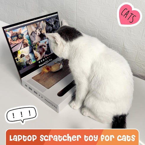 Cat Scratcher Laptop with 'Mouse' Jingle Ball, 3-in-1 Cardboard Interactive Toy, Kitten Toy & Scratching Pad