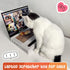 Cat Scratcher Laptop with 'Mouse' Jingle Ball, 3-in-1 Cardboard Interactive Toy, Kitten Toy & Scratching Pad