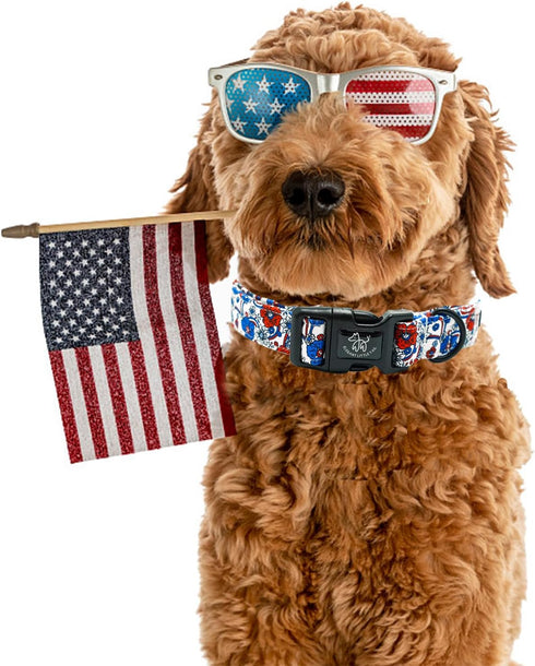 Elegant Little Tail Holiday Dog Collar, Adjustable Independence Day Design for Small Medium Large Dogs