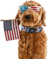 Elegant Little Tail Holiday Dog Collar, Adjustable Independence Day Design for Small Medium Large Dogs