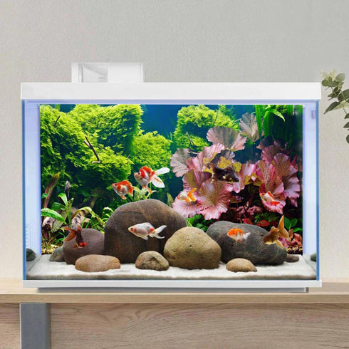 AWERT 30x12 inches Aquatic Plant Background, River Bed & Lake Fish Tank Vinyl