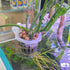Generic 2PCS Aquarium Plant Holder - Translucent PP Plant Pot with Holes - Hangable Fish Tank Plant Stand for Indoor