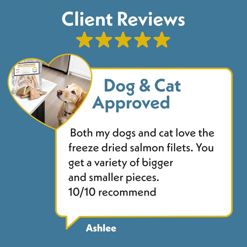 Fresh Is Best Salmon Fillets Freeze Dried Dog Treats Raw Freeze Dried Fish for Cats & Canines in Resealable Zipper Bag