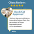 Fresh Is Best Salmon Fillets Freeze Dried Dog Treats Raw Freeze Dried Fish for Cats & Canines in Resealable Zipper Bag