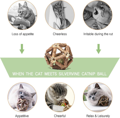 Catnip Toys - 2Pcs Natural Silvervine Stick and Catnip Ball & Bell Ball, Indoor Cat Chew Toy for All Breeds