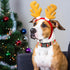 Dogs Christmas Collar - Red Plaid Snowflake-Themed Adjustable Puppy Collar for Small Dogs, Pet Decorative Collar
