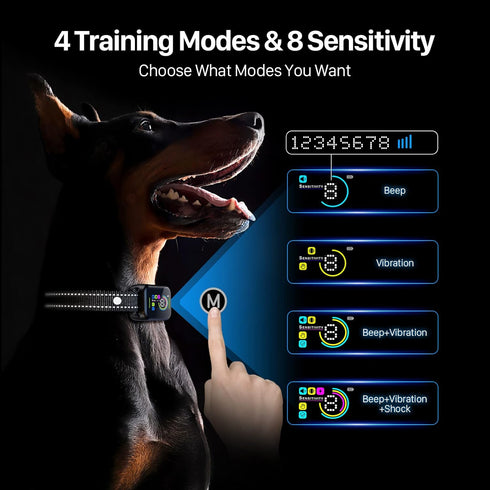 Dog Bark Collar, DINJOO Smart Rechargeable Anti Barking Training Collar for Large Medium Small Dogs