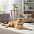Shophubio Interactive Fish-Shaped Cat Toy Feeder, Silicone Food Dispenser for Indoor Cats, Engaging Hunting Play Treat