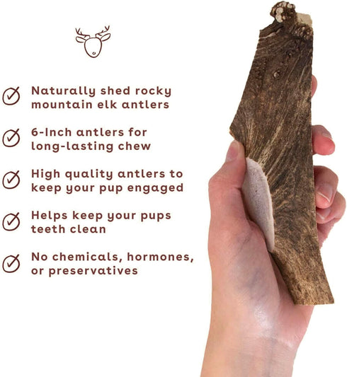 Pupford Split Elk Antlers, Durable Natural Chew Toy, Long Lasting, Cleans Teeth, 5-8” Long (1 Count)