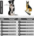 Gold Chain Dog Collar - 16MM 18K Gold Cuban Link with Secure Snap Buckle for Small Pitbull (16MM, 20")