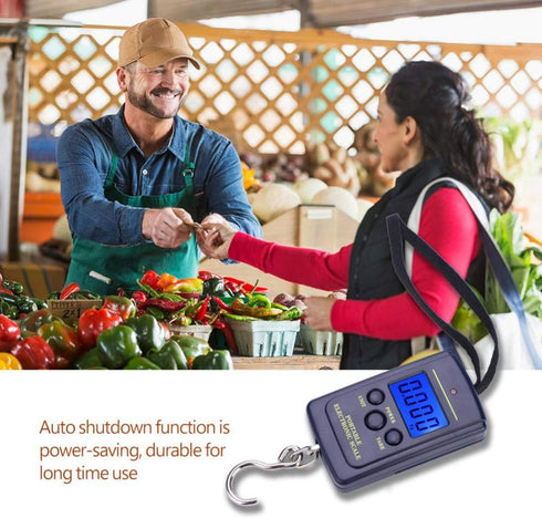 VGEBY Digit Fishing Scale, Weiheng WH-A01L Portable Plastic Electric Digital Hanging Scale with Hook Tool, 40kg*10g