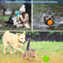ACEONE Dog Squeaky Ball, Indestructible Bouncy Rubber Toy Balls for Small and Large Dogs, Exercise Training Playing