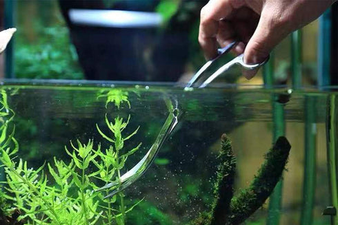 Aquarium Scissors, Stainless Steel Mirror Wave Scissors for Professional Water Grass Maintenance