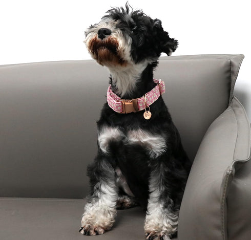 Daisy Summer Cotton Dog Collar with Metal Buckle, Pink Gift Collar for Small Medium Large Dogs, Cute Durable Comfortable